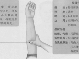 尺泽的准确位置图,尺泽穴的功效与作用