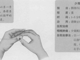 少商的准确位置图,少商穴的功效与作用