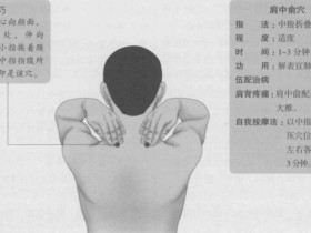 肩中俞的准确位置图,肩中俞穴的功效与作用