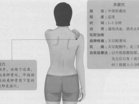 天宗的准确位置图,天宗穴的功效与作用