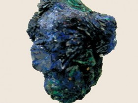 曾青的功效与作用,中药曾青图片