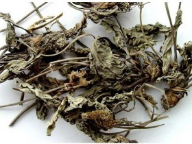 车前草的功效与作用,车前草的副作用及禁忌