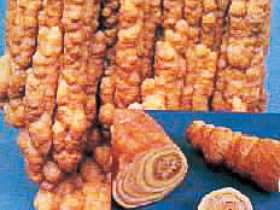 石钟乳的功效与作用,中药石钟乳图片