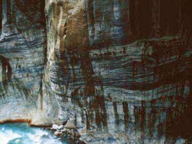 玉泉的功效与作用,中药玉泉图片