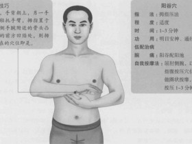 阳谷的准确位置图,阳谷穴的功效与作用