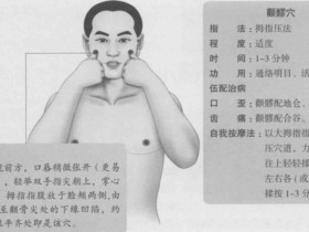 颧髎的准确位置图,颧髎穴的功效与作用