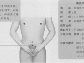 阴交的准确位置图,阴交穴的功效与作用