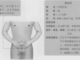 关元的准确位置图,关元穴的功效与作用