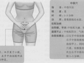 中极的准确位置图,中极穴的功效与作用