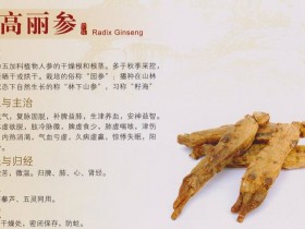 高丽参的功效与作用