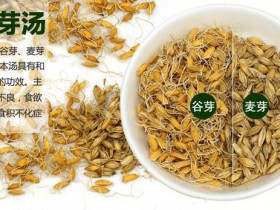 中医治疗小儿积滞疳症用药规律