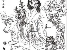 常用中药的药性三字经口诀