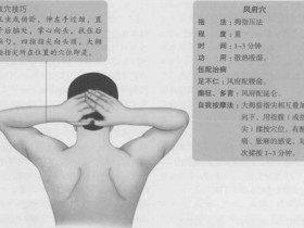 风府的准确位置图,风府穴的功效与作用