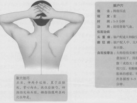 脑户的准确位置图,脑户穴的功效与作用