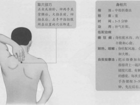 身柱的准确位置图,身柱穴的功效与作用