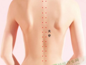 夹脊穴位位置图,刺灸夹脊穴的作用与功效