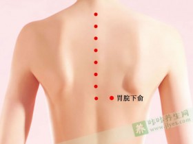胃脘下俞穴位位置图,胃脘下俞穴的功效和作用