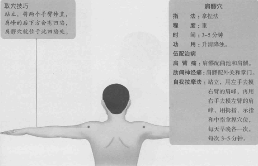 肩髎的准确位置图