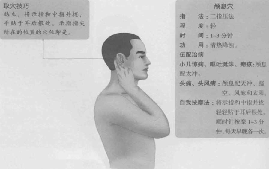 颅息的准确位置图