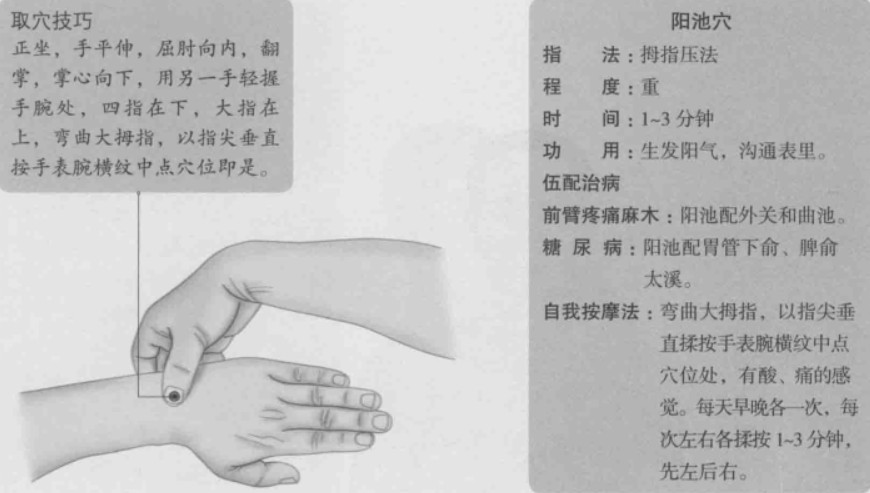 阳池的准确位置图