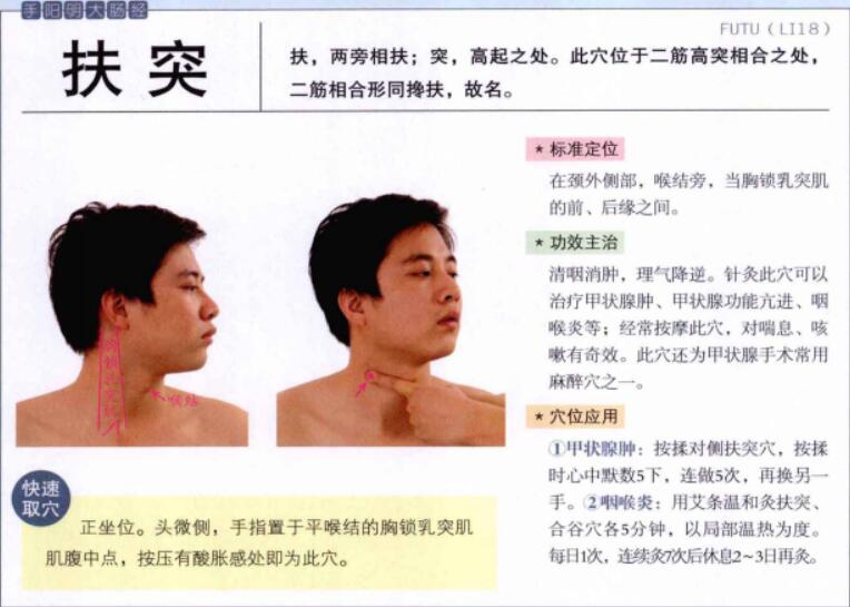 扶突的准确位置