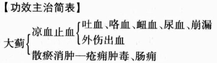 大蓟的功效与作用