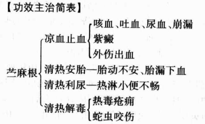 苎麻根功效与作用