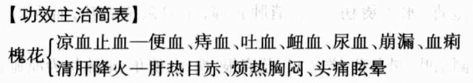 槐花的功效与作用