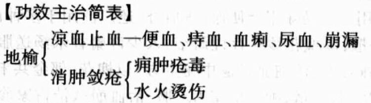 地榆的功效与作用