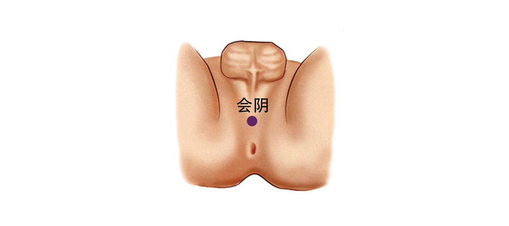 会阴穴