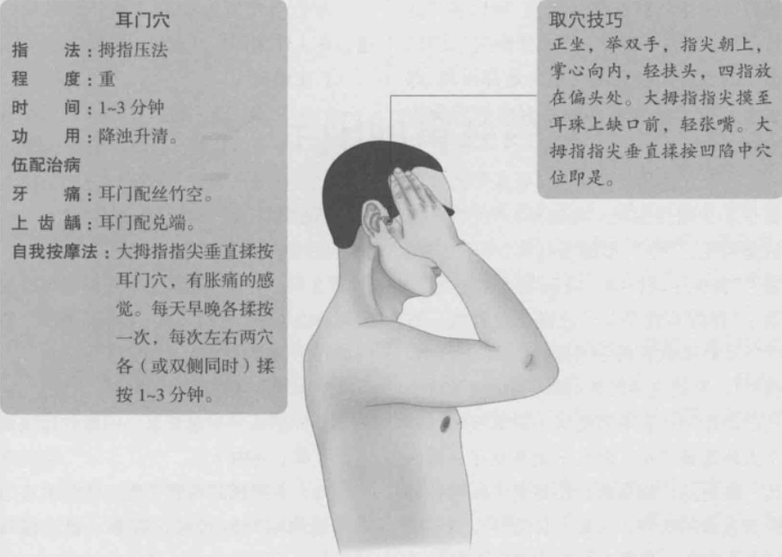 耳门的准确位置图