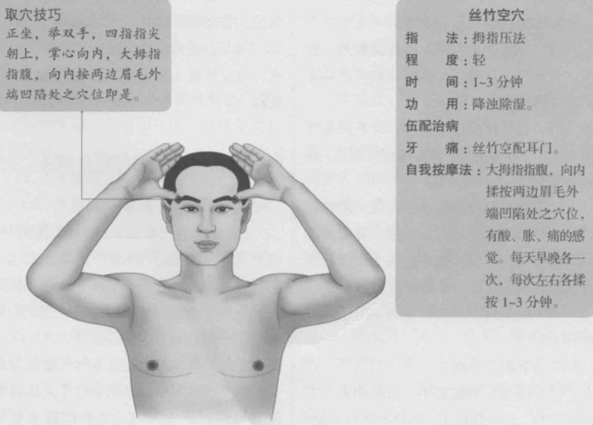 丝竹空的准确位置图