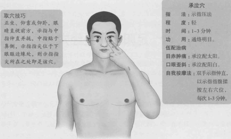 承泣的准确位置图