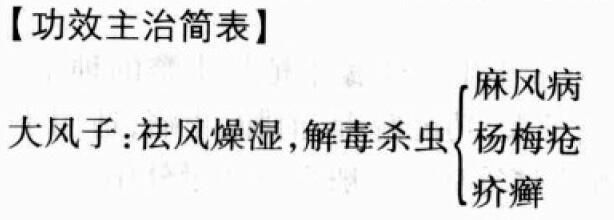 大风子的功效与作用