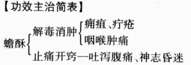 蟾酥的功效与作用