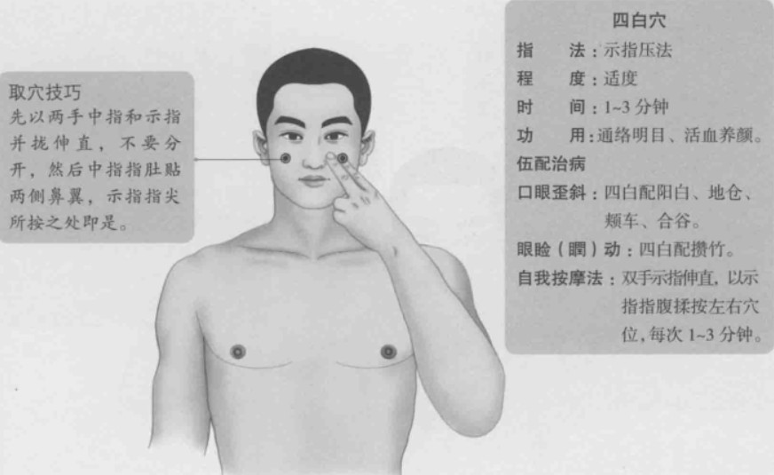 四白的准确位置图