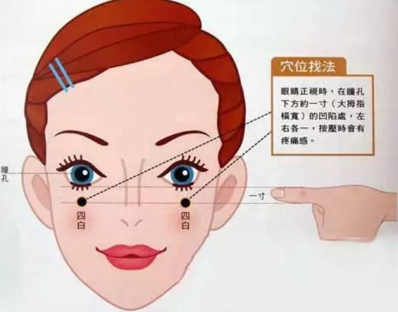 四白穴的位置