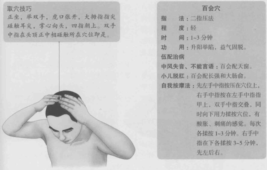 百会的准确位置图