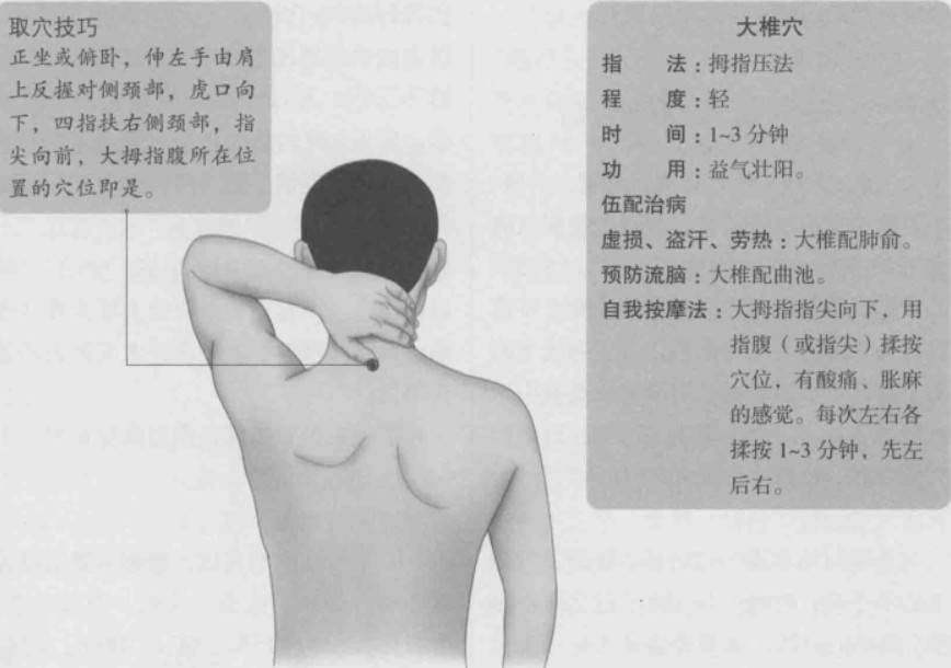 大椎的准确位置图