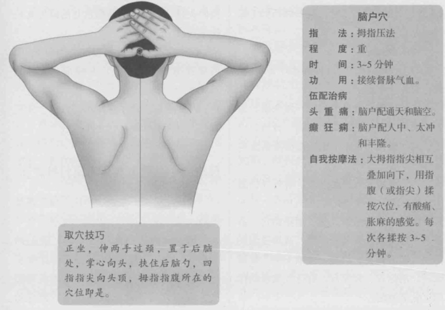 脑户的准确位置图