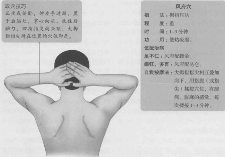 风府的准确位置图