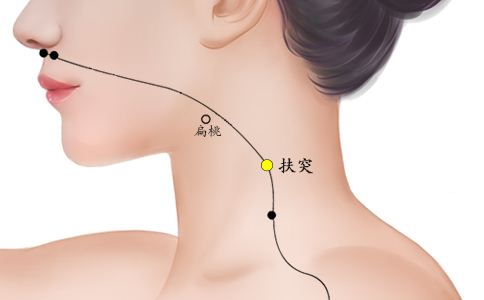 扶突穴位置图