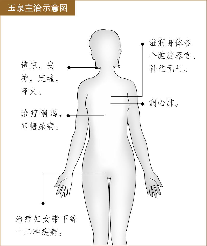 玉泉的功效与作用