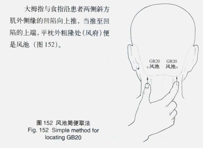 风池穴的取穴方法