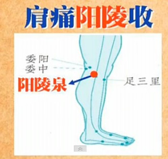 阳陵泉穴位图