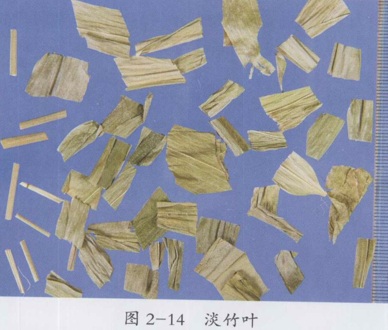 淡竹叶