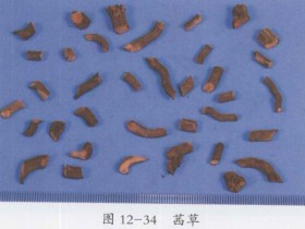 茜草的功效与作用,中药茜草图片