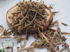 景天三七的功效与作用,中药景天三七图片