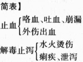 檵木的功效与作用