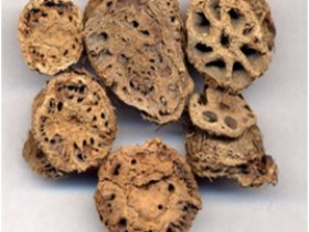 藕节的功效与作用,中药藕节图片